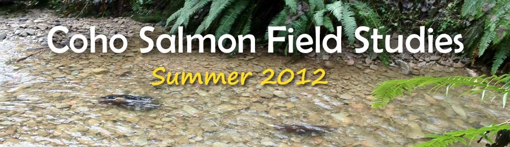 Coho Salmon Field Studies